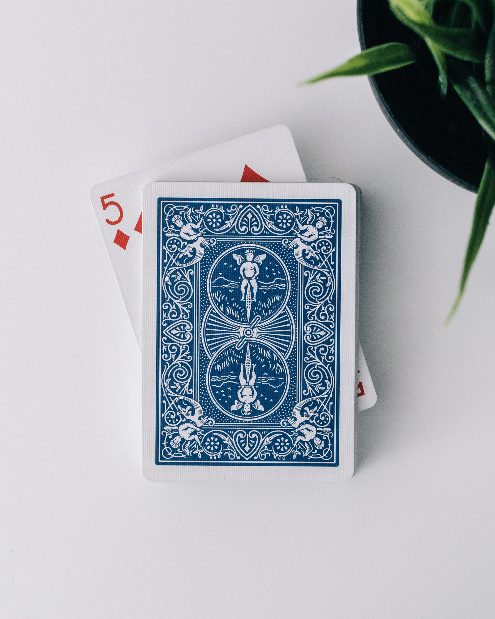 Top 3 Compelling Reasons Why Everyone Ought to Try Online Card Games Now - Gifts for card players