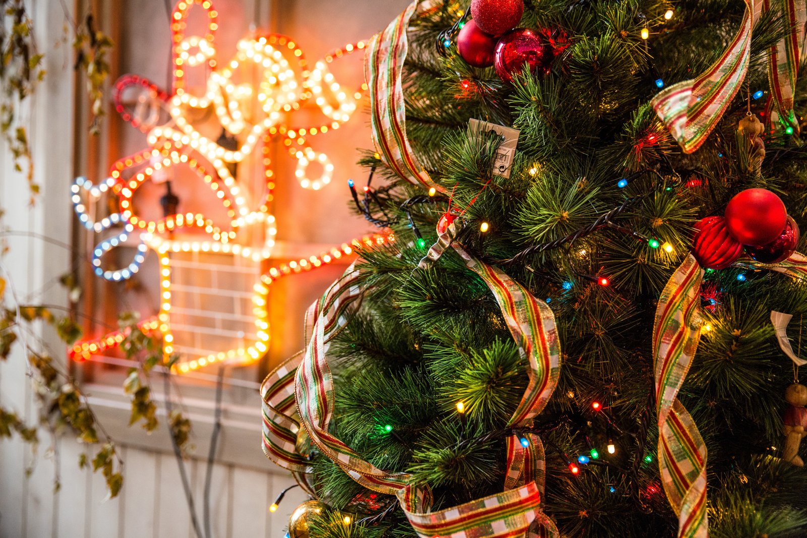 The Best Apps To Keep Bridge Fans Occupied Over Christmas - Gifts for Card Players