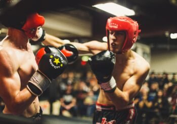 Why it is worth doing ufc betting online? - Gifts for Card Players