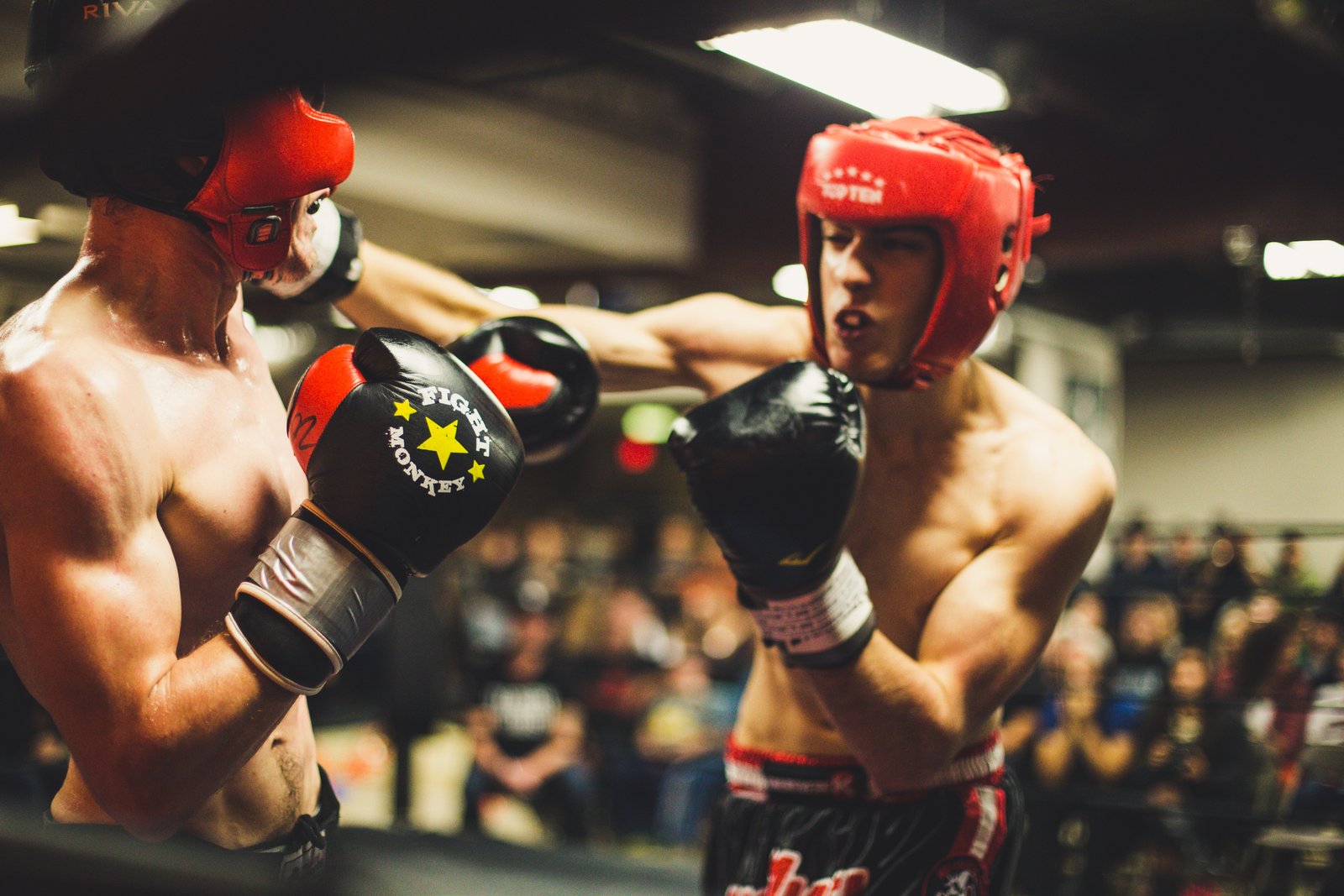 Why it is worth doing ufc betting online? - Gifts for Card Players