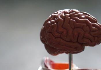 Casino games that improve cognitive function - Gits for Card Players