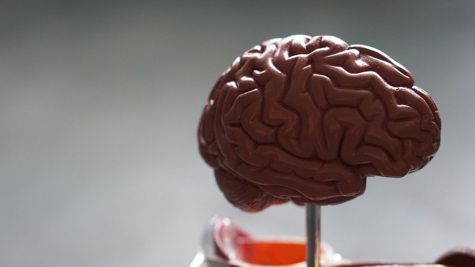 Casino games that improve cognitive function - Gits for Card Players