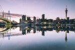 Where to Find the Fastest Payout Casinos in NZ? - Gifts for Card Players