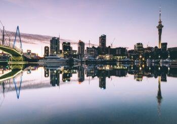 Where to Find the Fastest Payout Casinos in NZ? - Gifts for Card Players