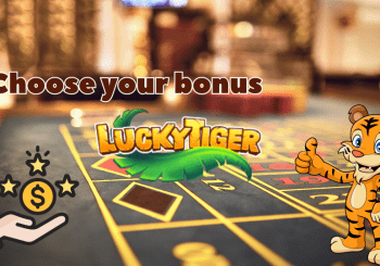 Lucky Tiger Casino