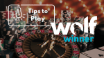 Wolf WInner Casino