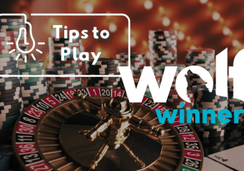 Wolf WInner Casino